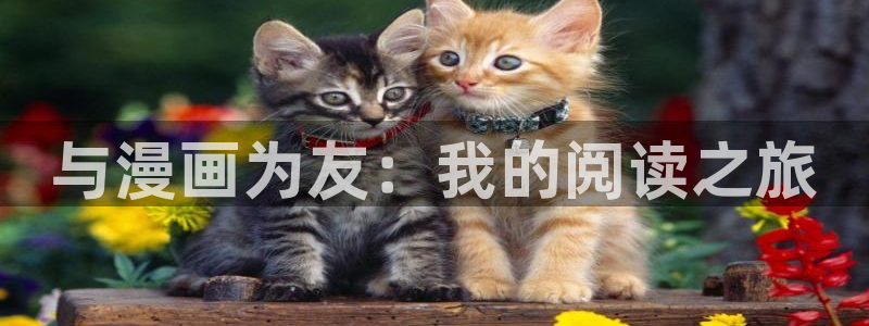 歪歪漫画进入首页