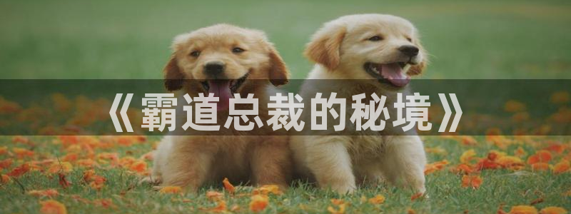 歪歪漫画韩国漫入口